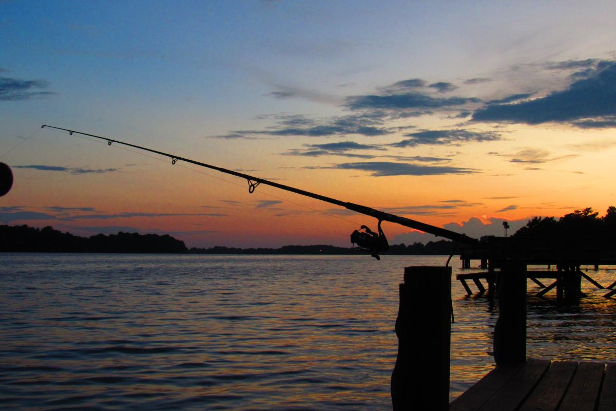 Evening sunset