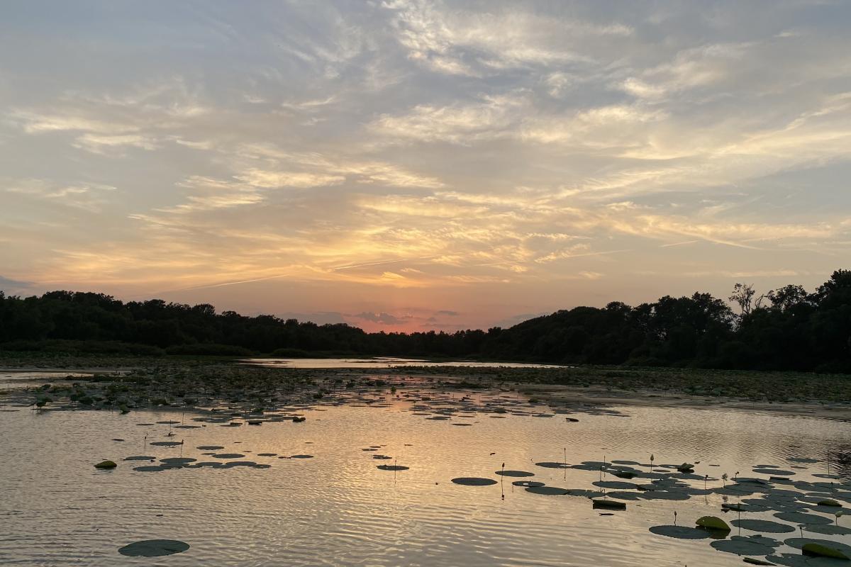 Sunset on water from reservoir