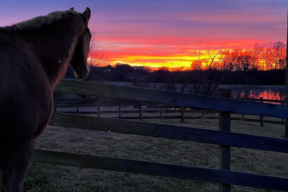 Sunrise at Meadow Creek Farm