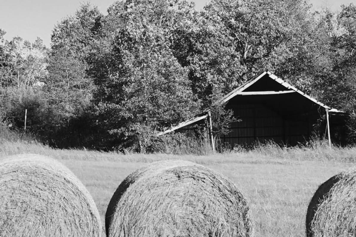 Barn with hay in the hay field