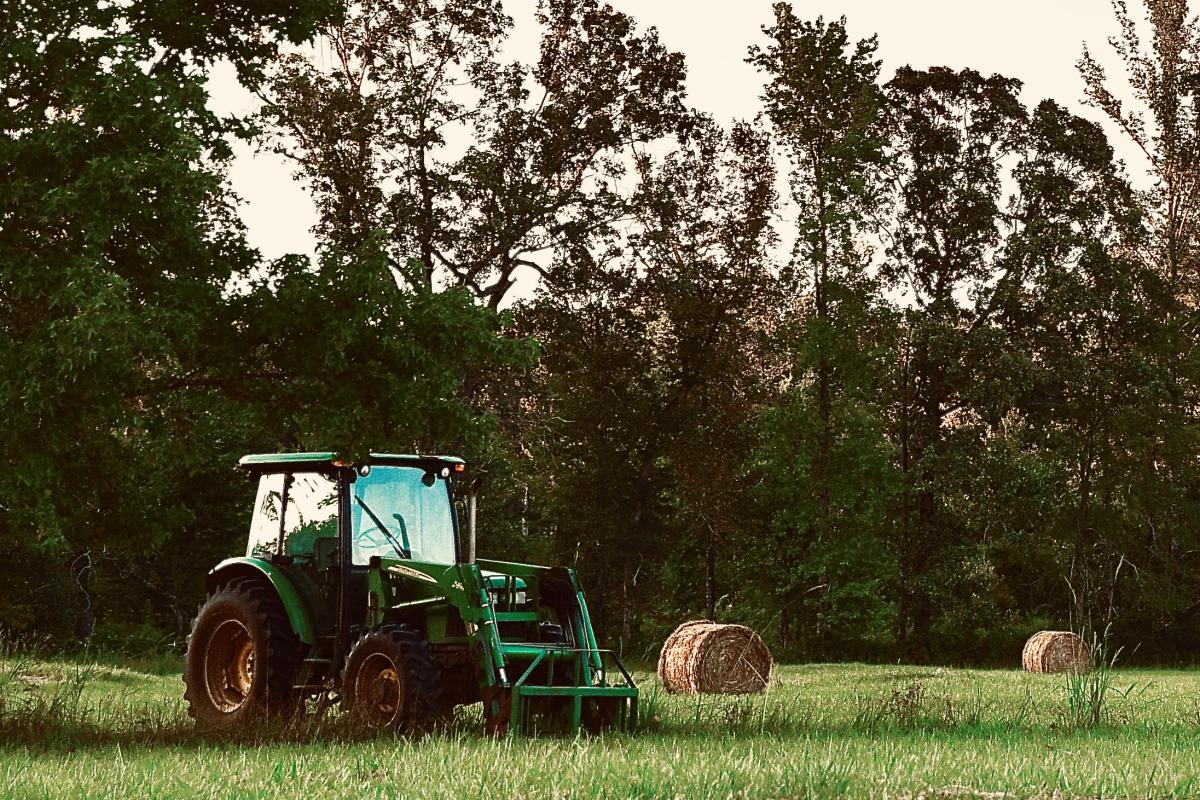 Our pasture after being baled for hay