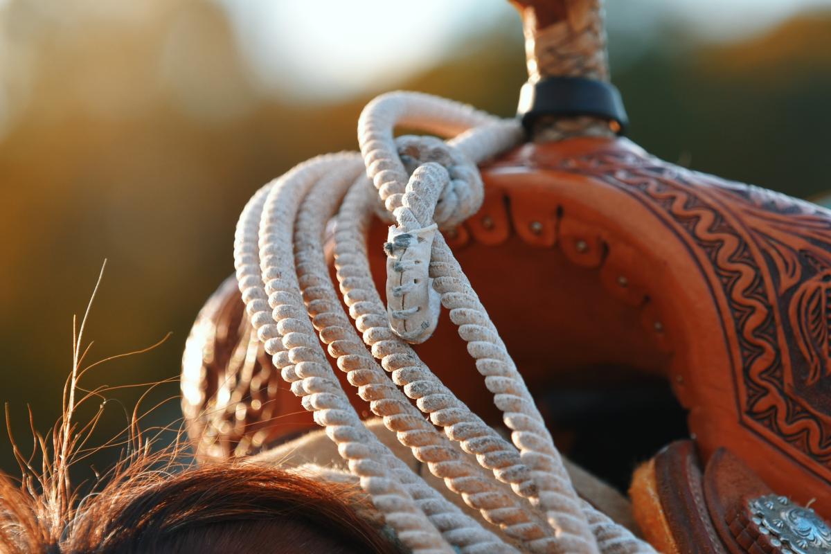 My saddle and rope