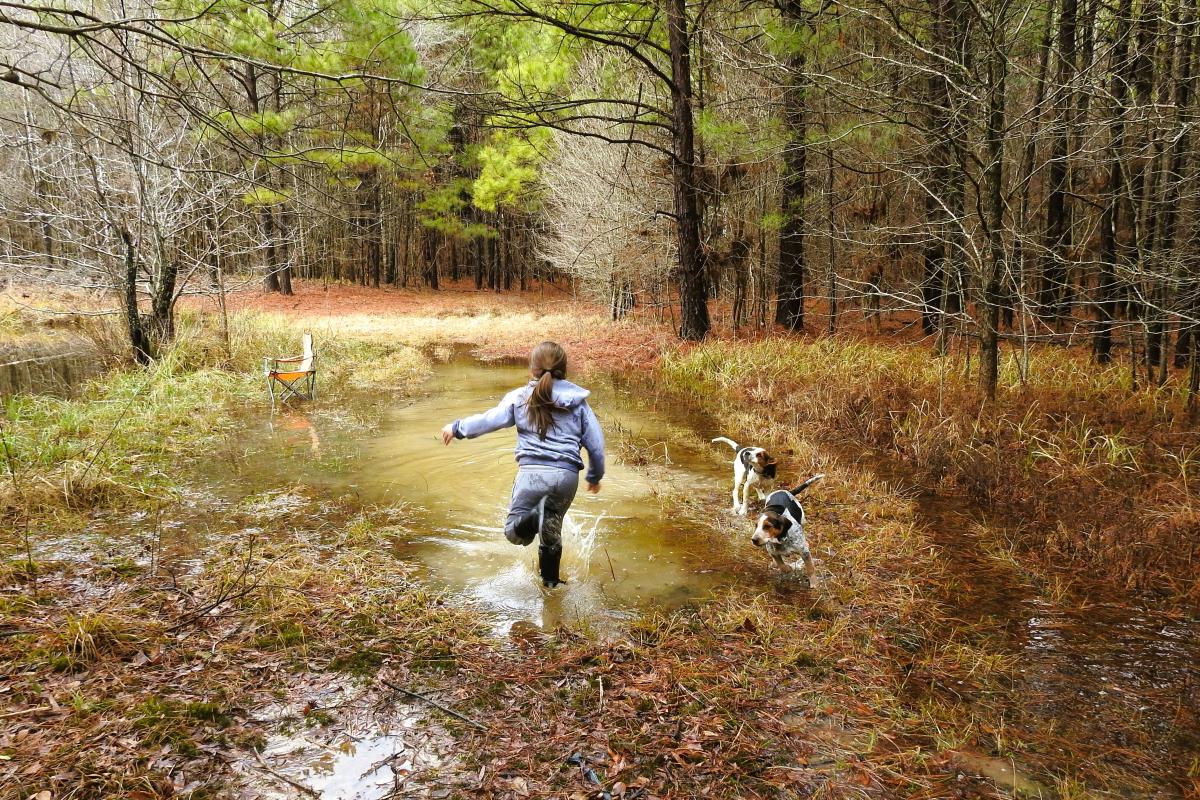 My granddaughter and her pups, Izzy and Oakley, are running through a large puddle of water at the edge of our pond.