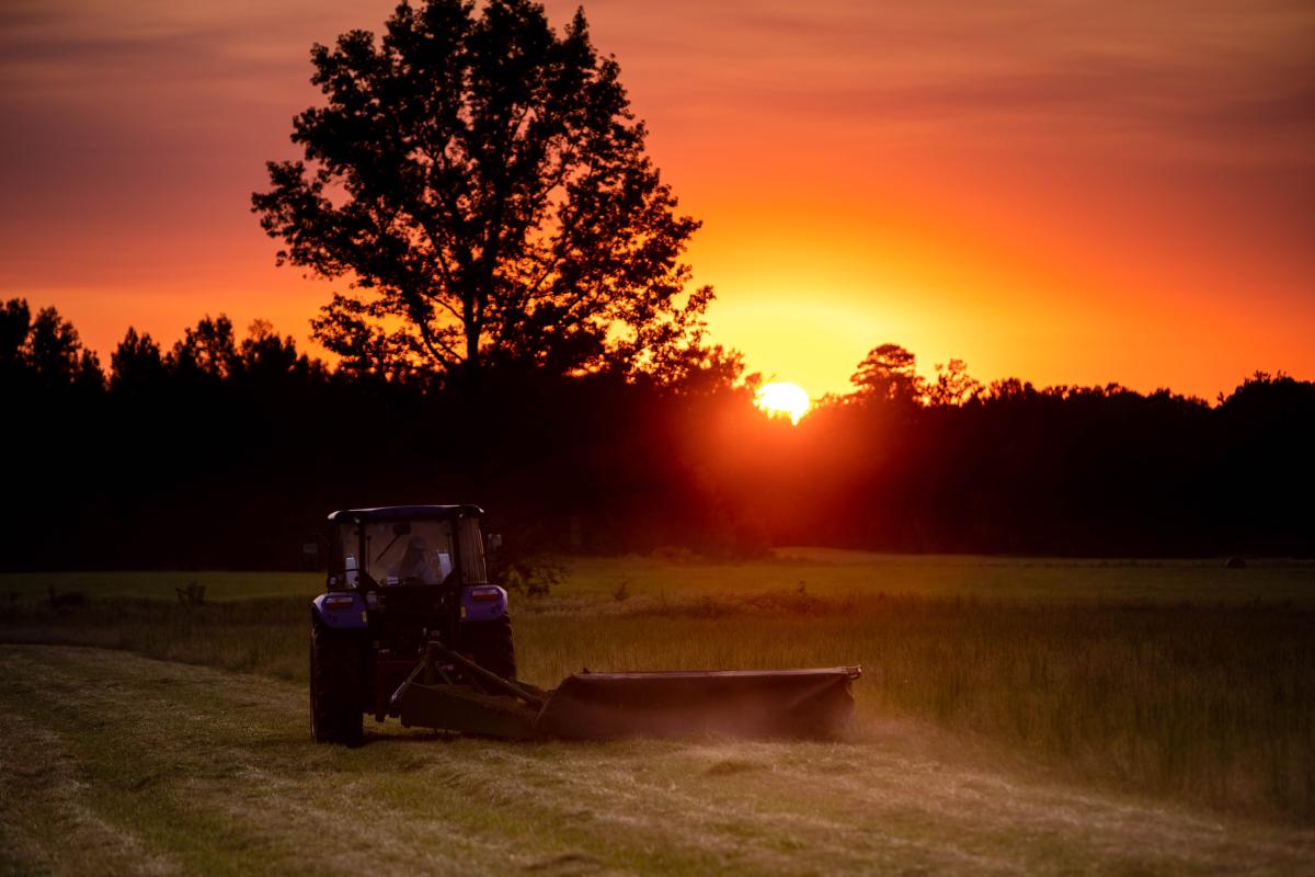 I captured this photo of my late husband doing what he loved most - He was a dedicated hard-working man, a hay farmer