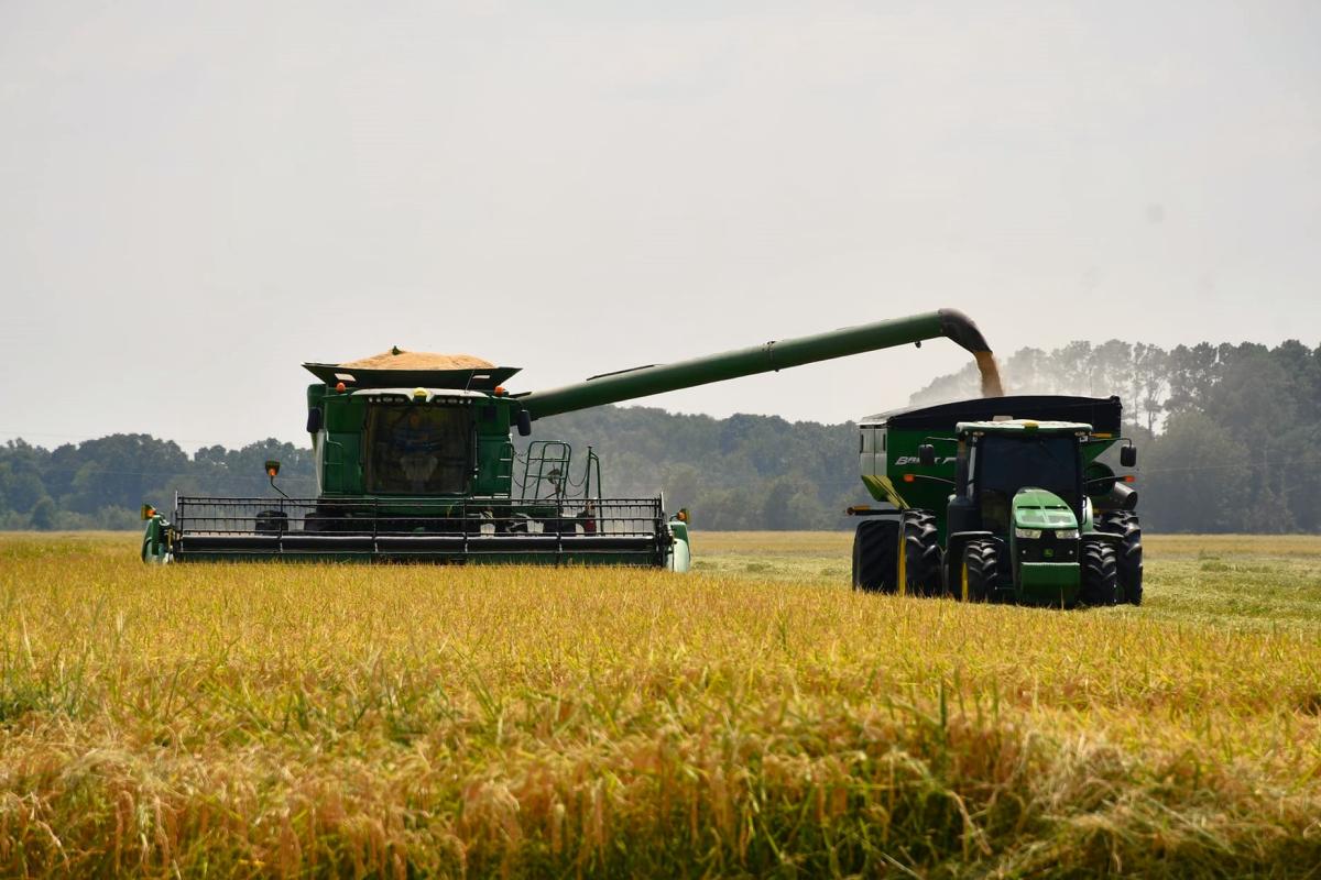 Prairie County Rice Harvest