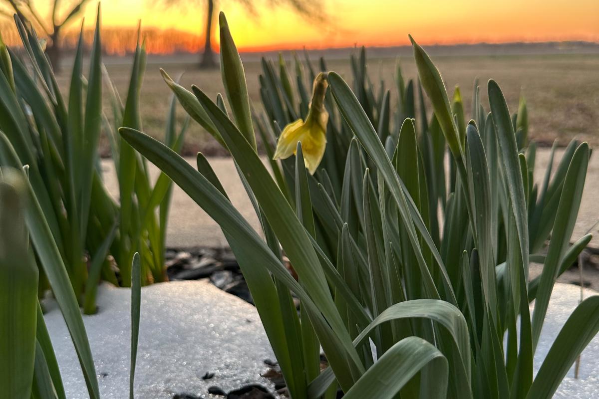 Spring has sprung