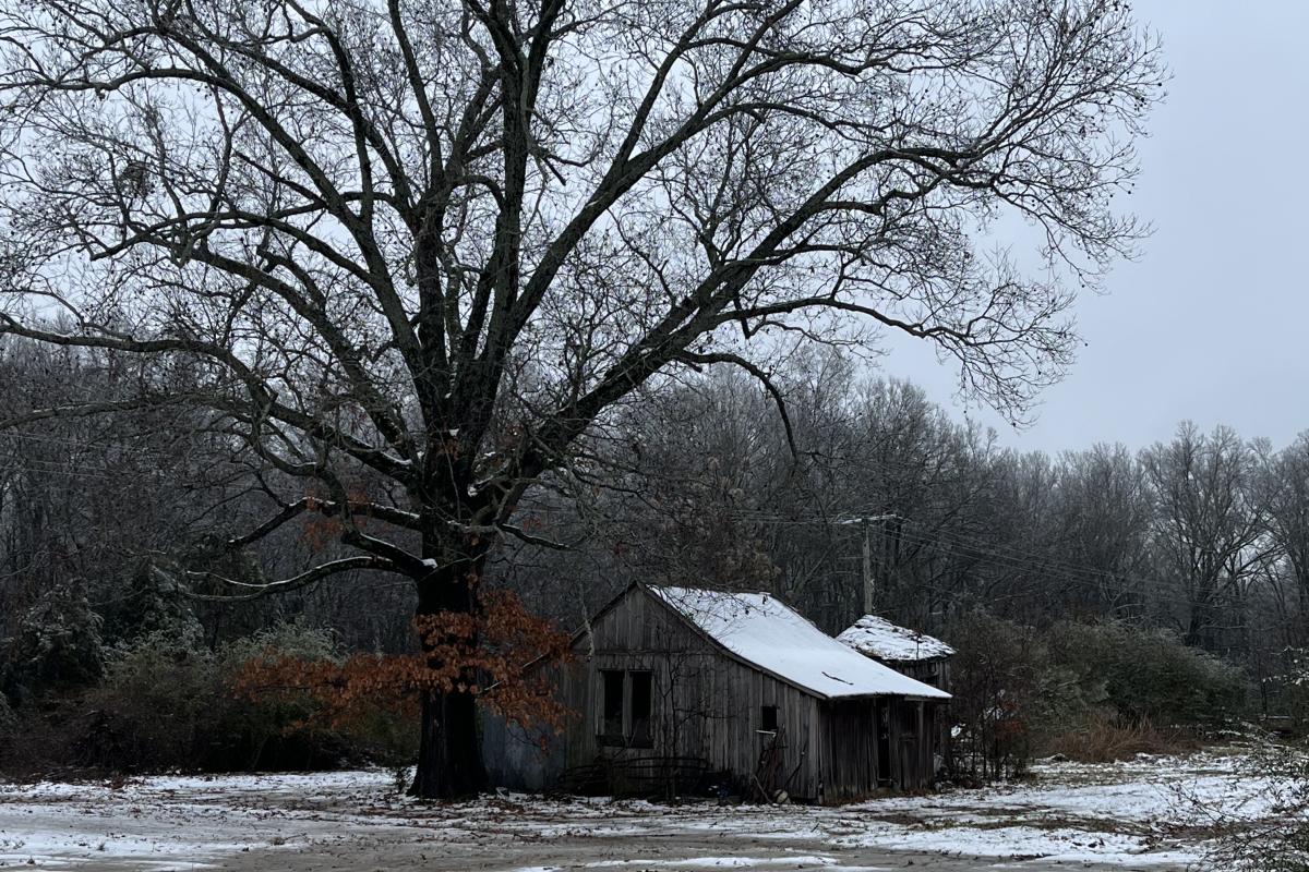 Me and my dad this year bought his father's properties that he had purchased in the 60's this is the original house that still is standing today.