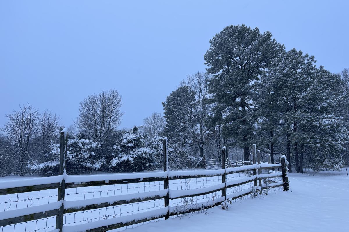 Country Snow