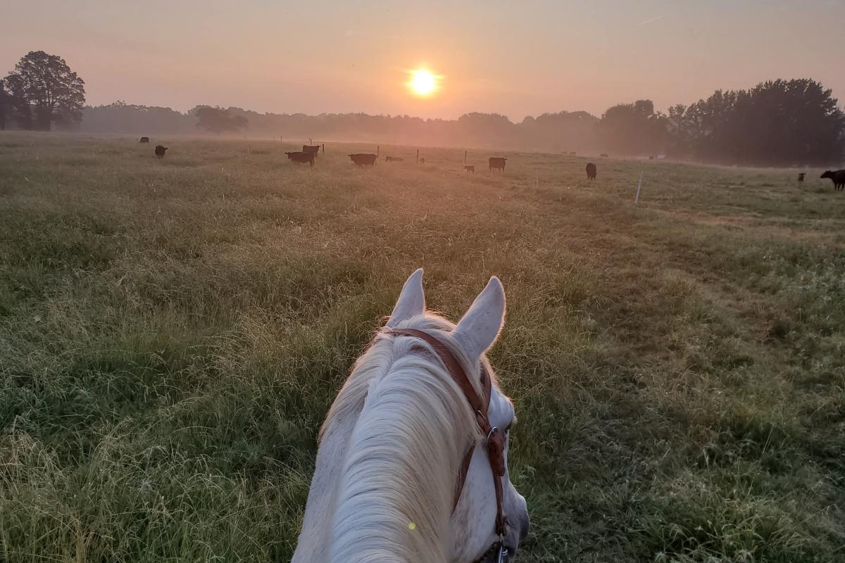 Beautiful Arkansas Day
